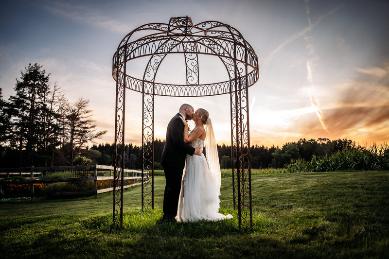 Buffalo, NY Wedding Photographer Rochester, NY Wedding Photographer WNY Wedding Photographer and Finger Lakes Region Wedding Photographer