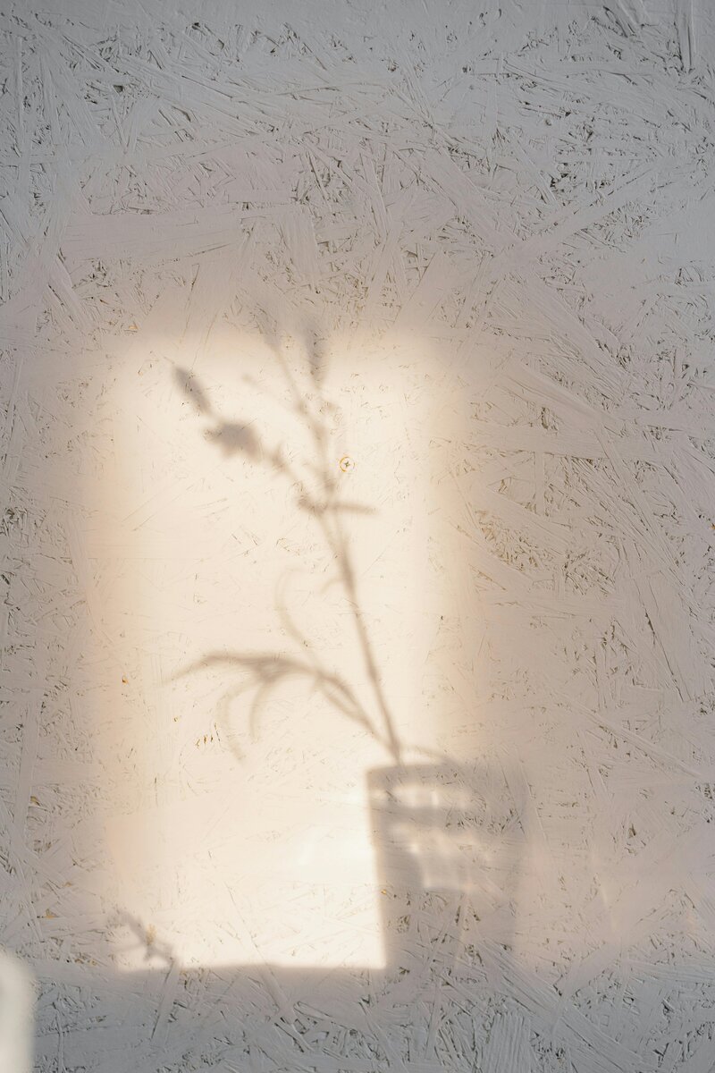  A simple vase holding a vibrant green plant, adding a touch of nature to the space.