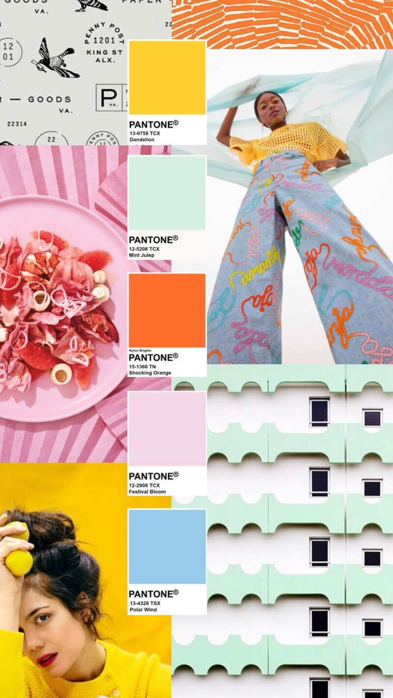 PaceCreative-ColorMoodBoard-No.50