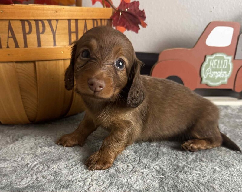 366bf625-cfe2-4887-86f0-de4c7e5f4ca1