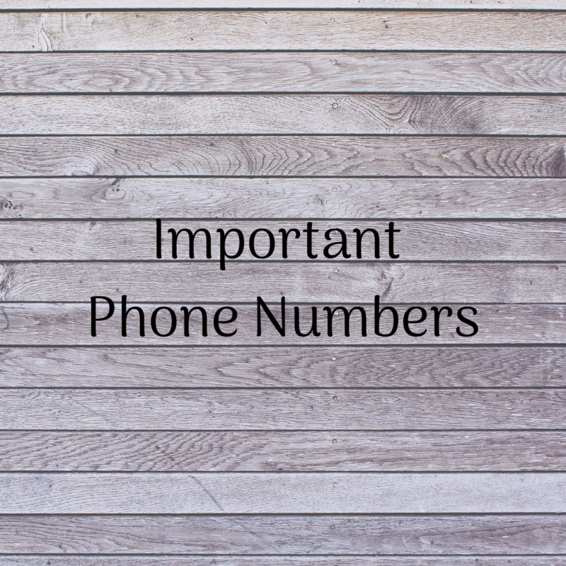Important Phone Numbers