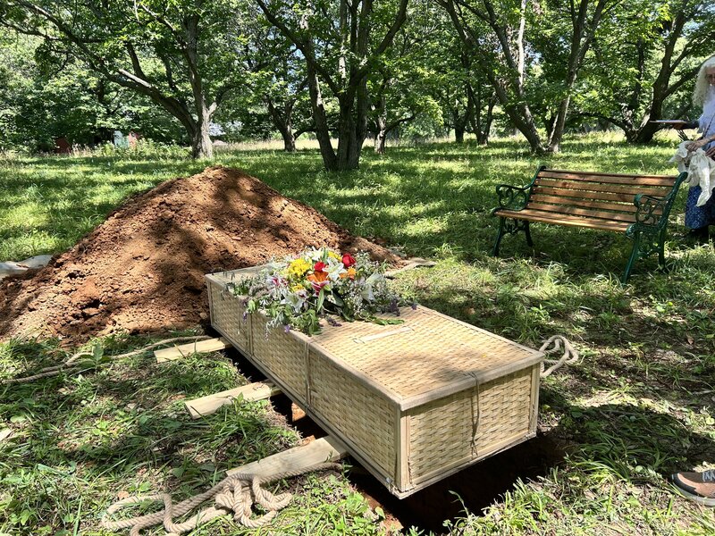 Photo Jul 05 2025, 2 24 46 PM