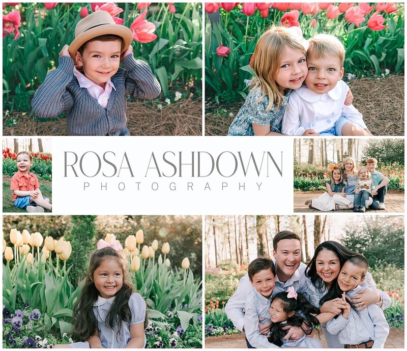 tulip mini sessions in raleigh nc