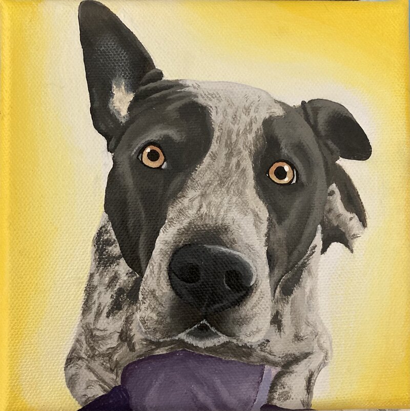 custom-pet-portrait