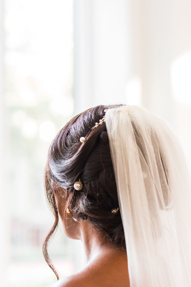 bride with veil