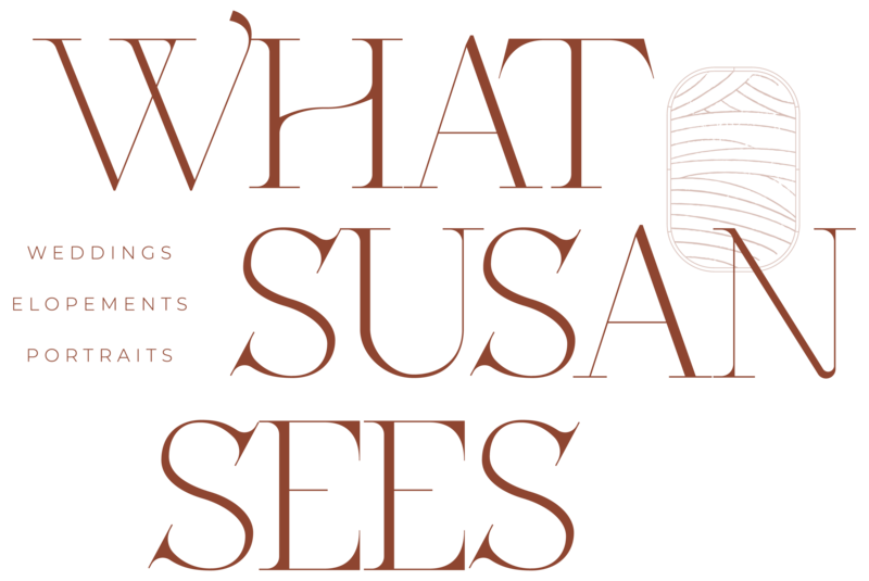 what susan sees logo