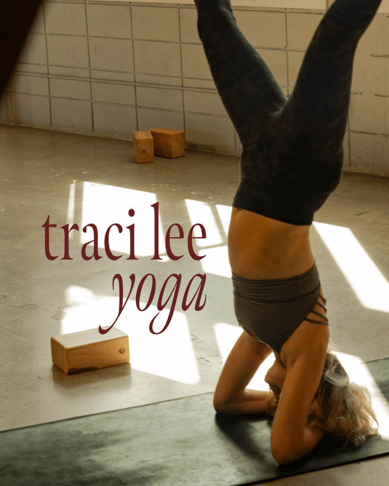 Traci Lee 3-min