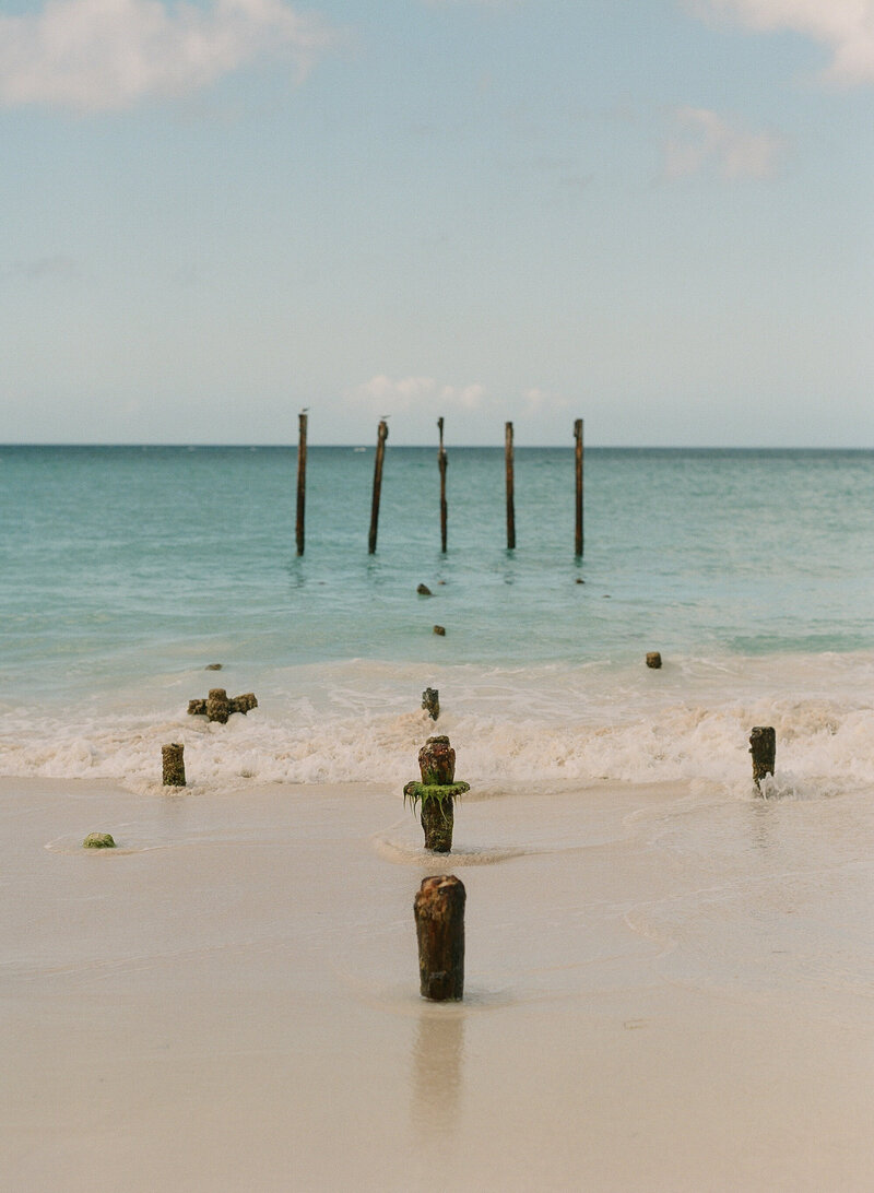 MARE_ArubanOceanPaths_JillRobertsPhotography