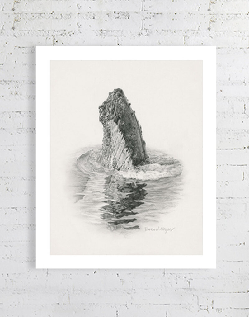 Townsend Majors' art print of a humpback whale