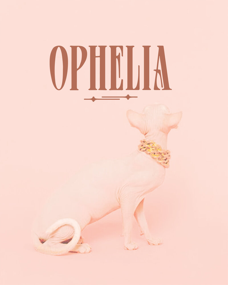 hairless cat wearing chunky gold jewelry and a pink background with a logo for Ophelia Fine Jewelry