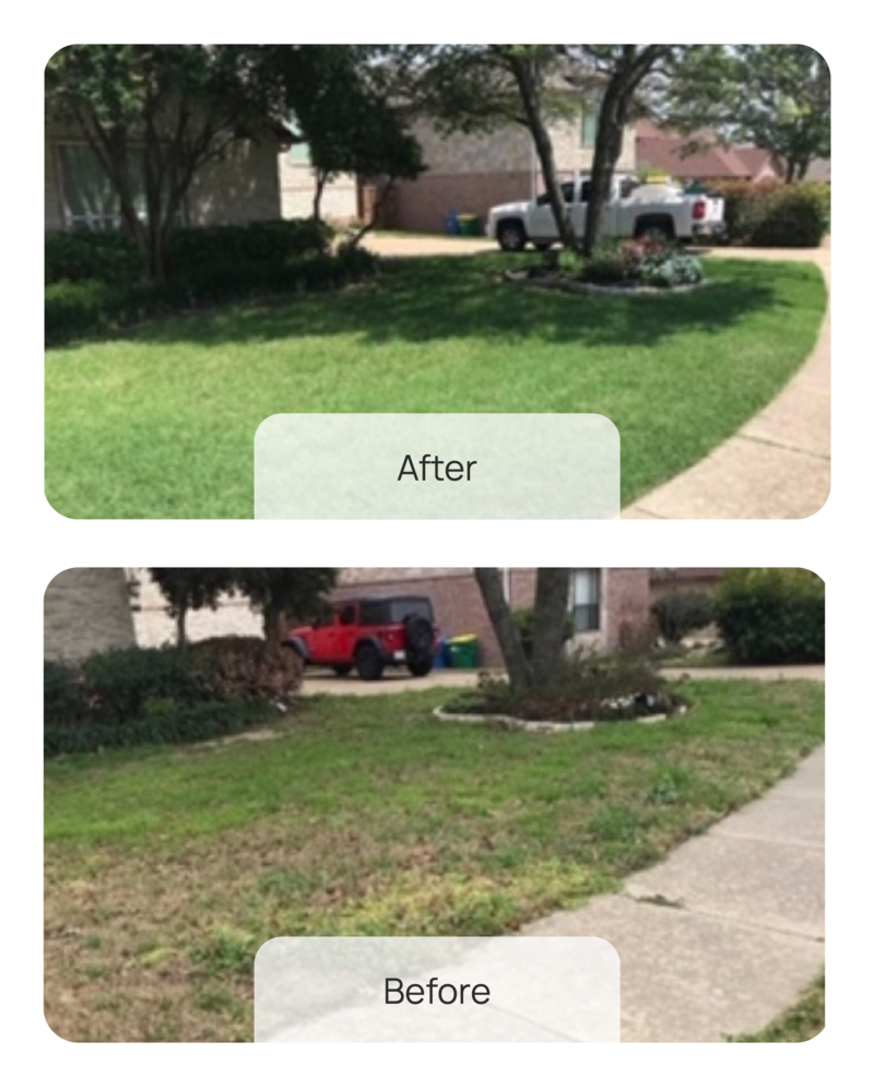 Five Star Fertilizing Before & After - 4