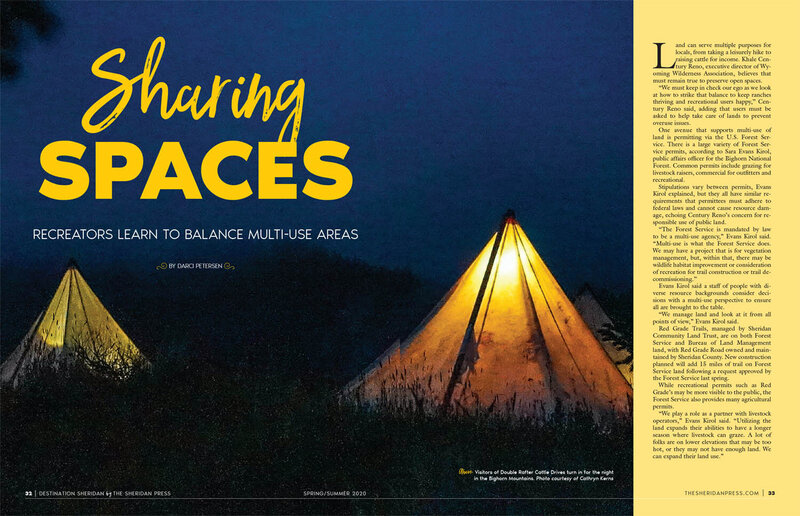 FINAL Proof DEST Spring_17