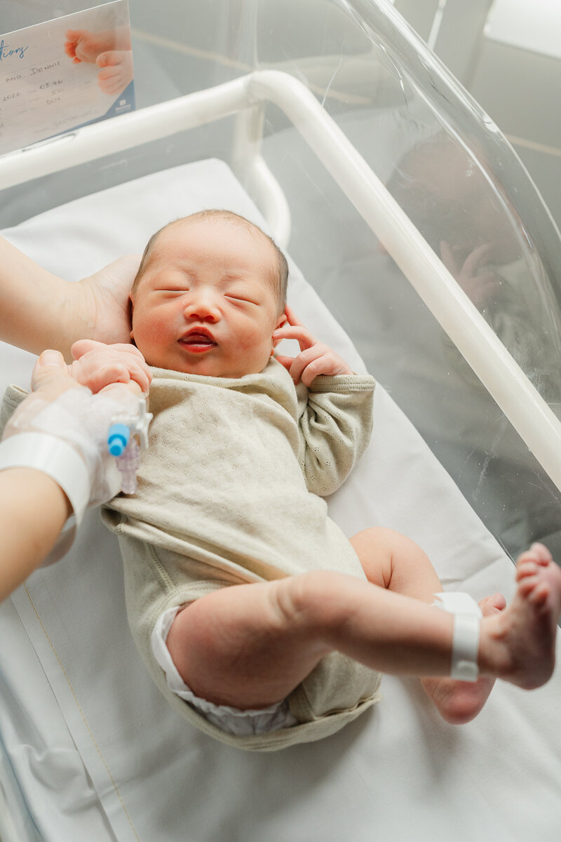 Brisbane family and baby and newborn photography