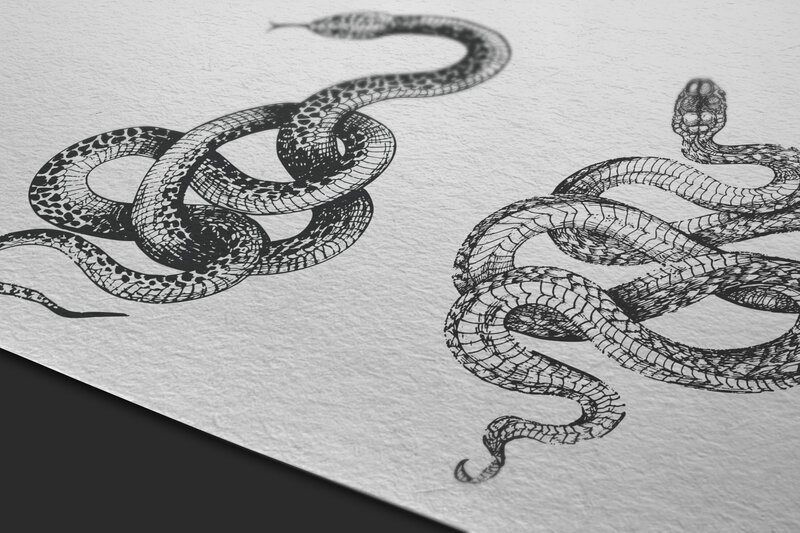 EN-Snake-art-mockup