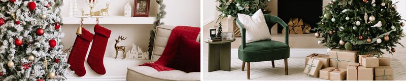 Fall and Tree Farm sessions in Kitchener-Waterloo