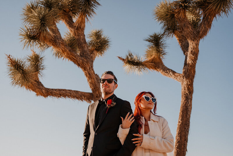 joshua-tree-elopement-photographer-324