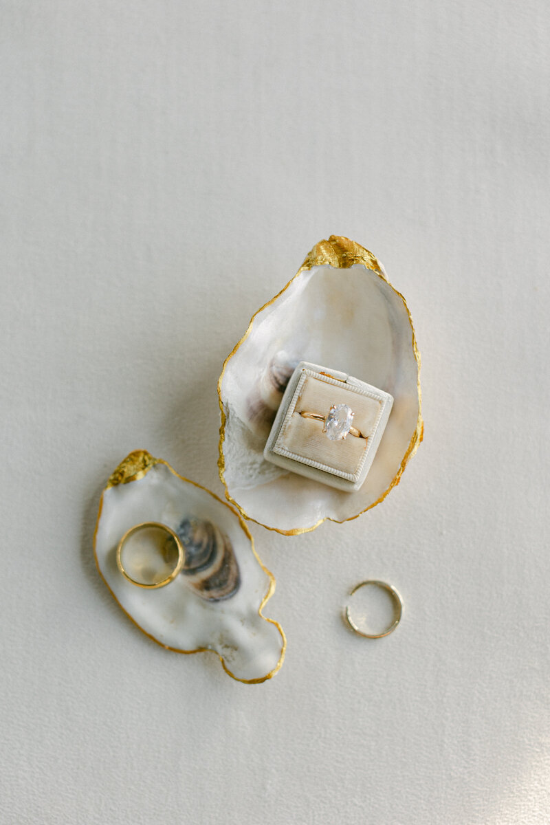 Ivory Suede + Oysters