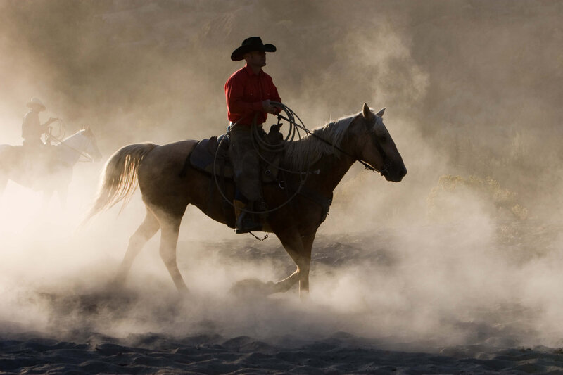wenatchee-horse-photographer-yellowstone-horse-photos (11)