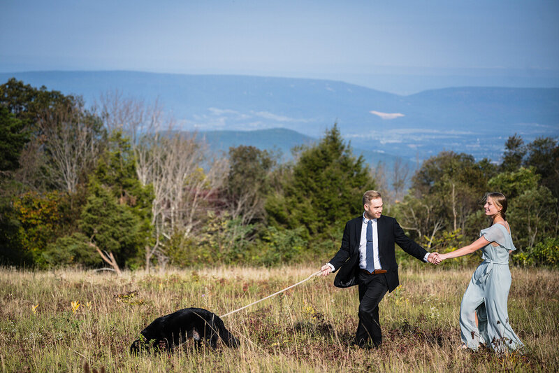 A couple on their elopement day walk hand-in-hand with their leashed dog through a meadow in Shenandoah National Park at Tanners Ridge Overlook.