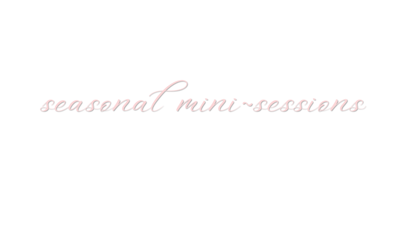 Title Image for Seasonal Mini Sessions