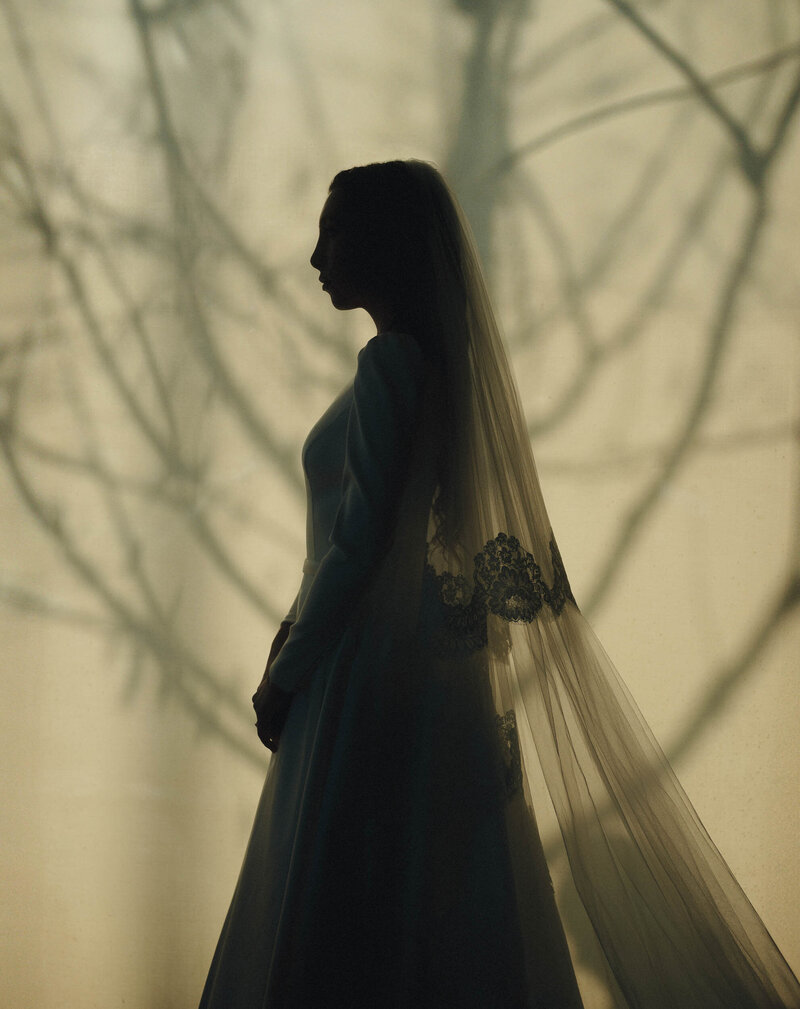 Silhouette of a bride in a wedding dress standing gracefully in front of a large tree.
