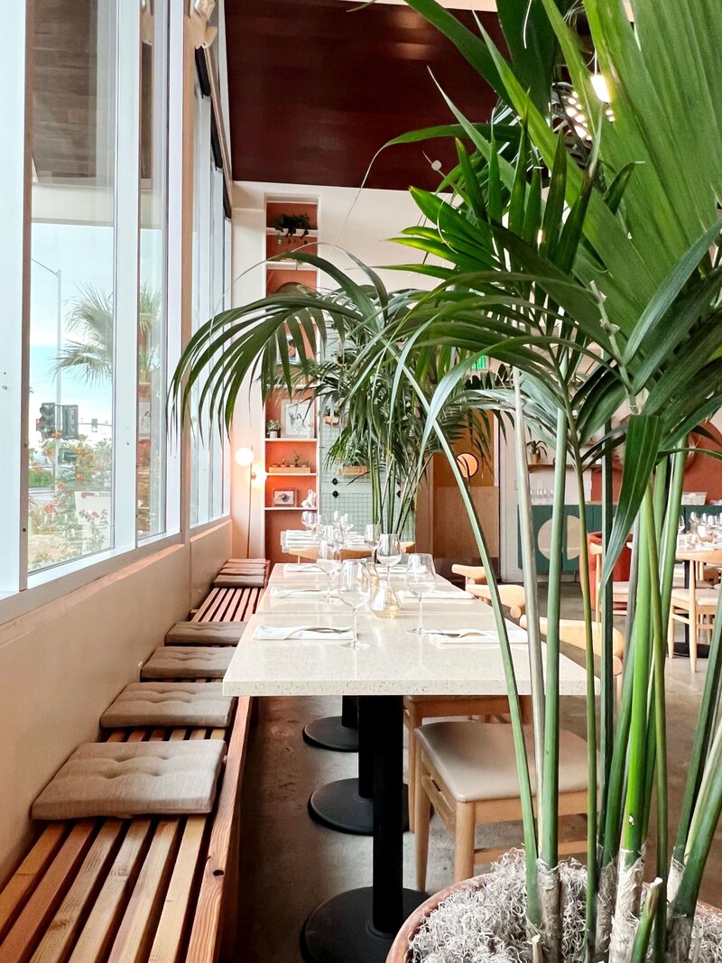 Boozehounds in Palm Springs Restaurant with palms and lush interior | photograph by Kristin Austin