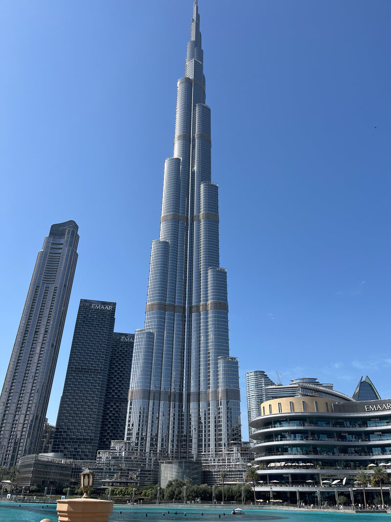 IMG_8230