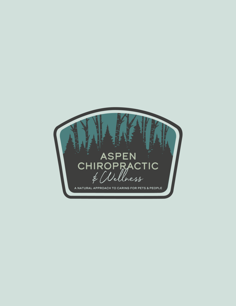 aspen-2022-shirt-presentation-V2-badge-11