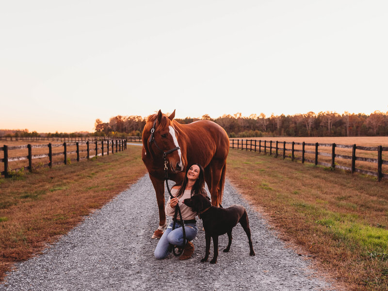 horse and rider portraits with liz kyle photography