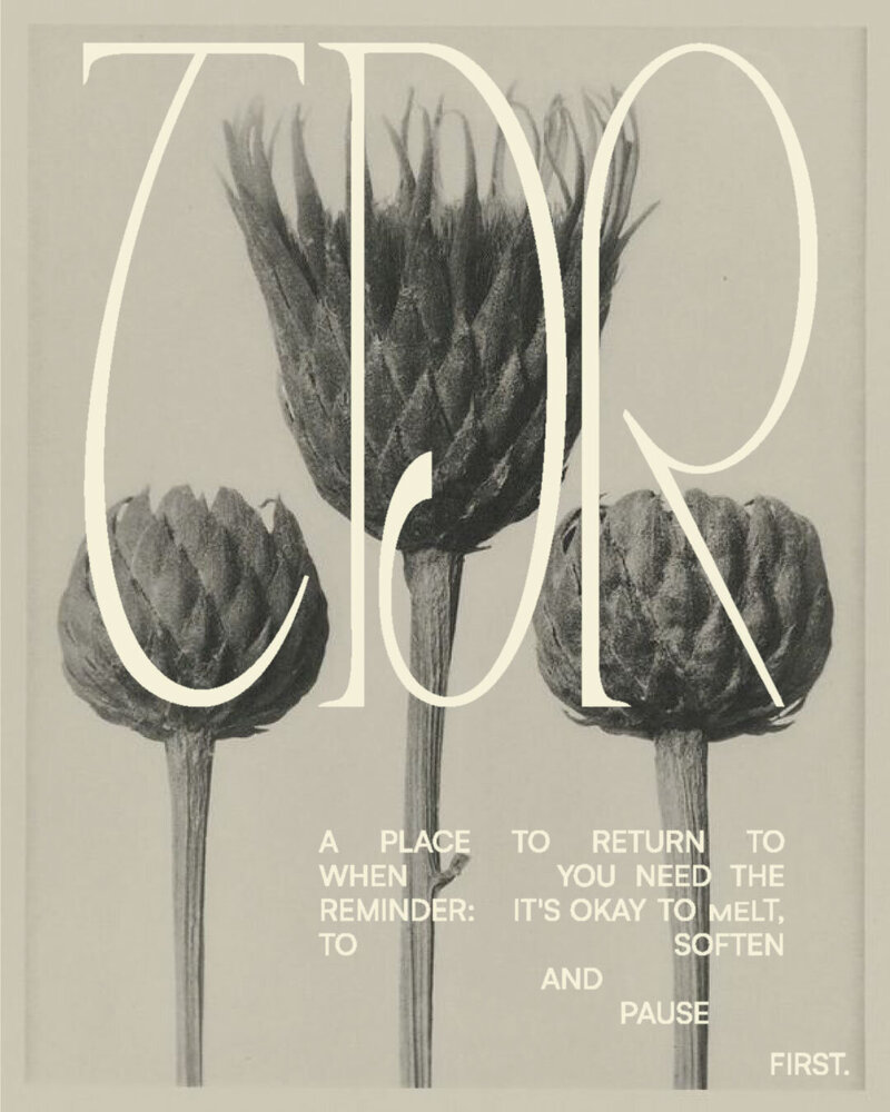 TDR-a-place-to-soften