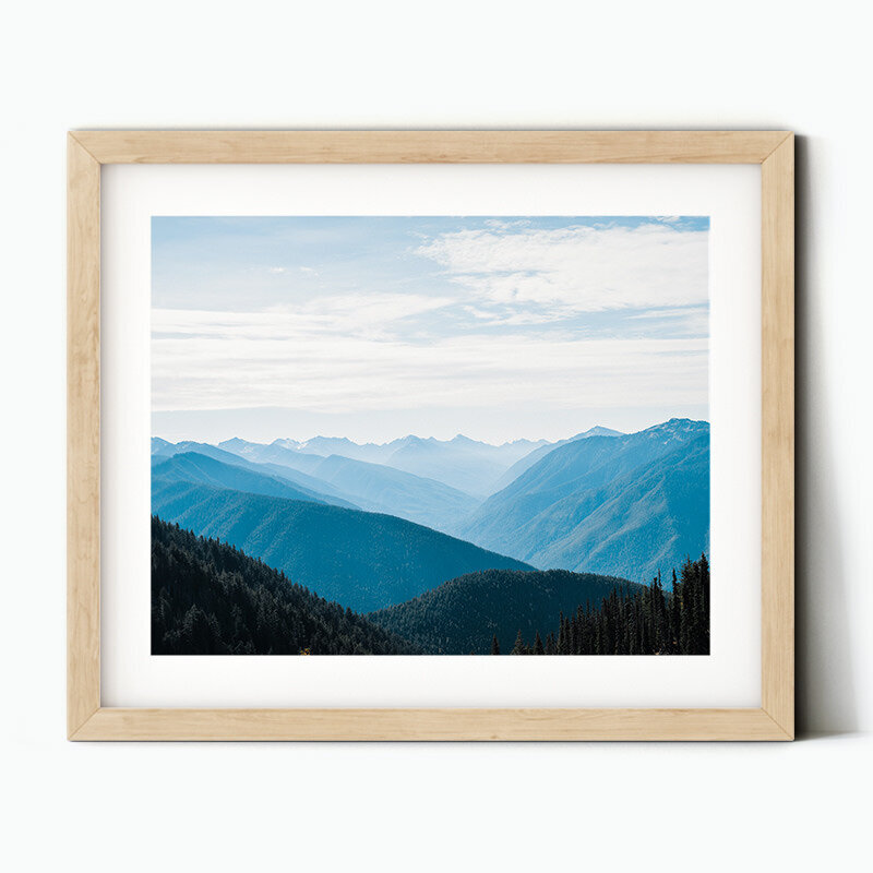 Framed image of the view from Hurricane Ridge and endless layered mountain peaks