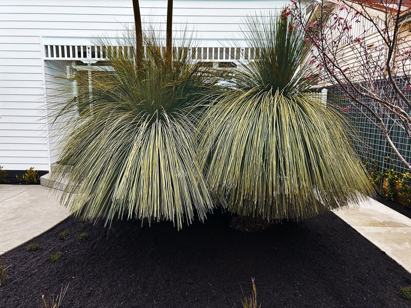 Erin_Street_Residential_Landscaping_08