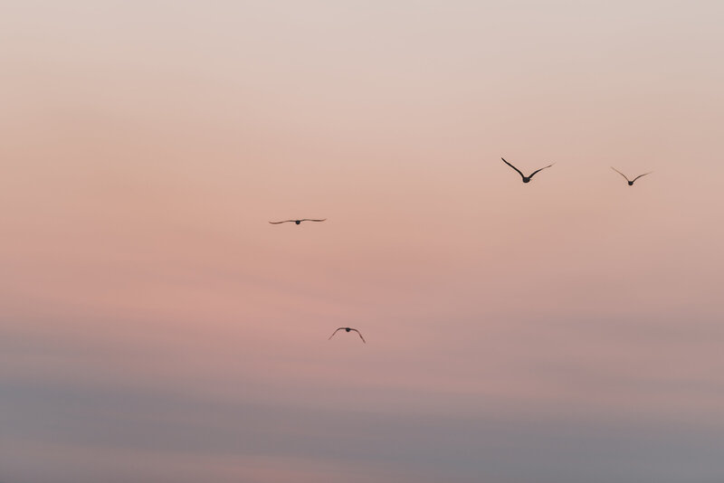 Caroline Morey Photography Coastal Portrait Beach Goddess Romantic Woman Pink Sunset Huntington Beach4M3A7272