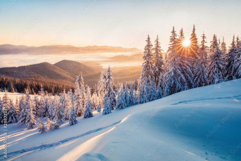 AdobeStock_288733450_Preview