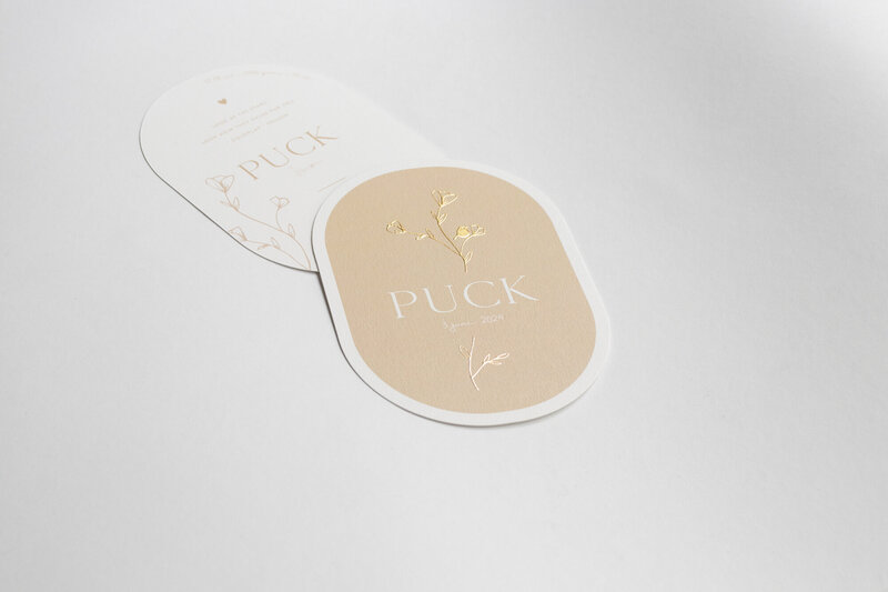 Ovaal-geboortekaartje-Puck-in-beige-met-goudfolie-takje-15