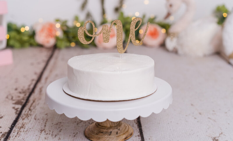 Smash Cake-1