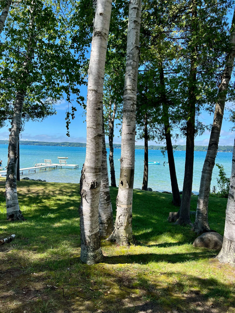 View from the lake house property