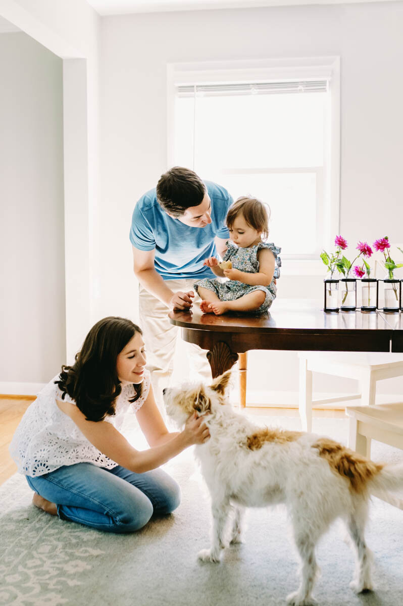 Bodner-family-traditional-spaces-mclean-va