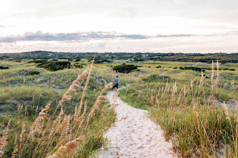 landscape of Hatteras, NC