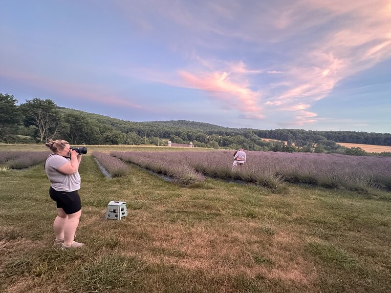 Candid shot of Stephanie Rodgers taking a couples portrait at sunset in a lavender field