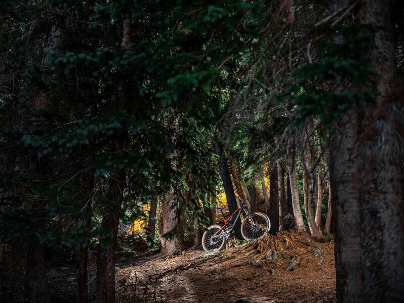 MTB_RAM_1UP-(18-of-27)