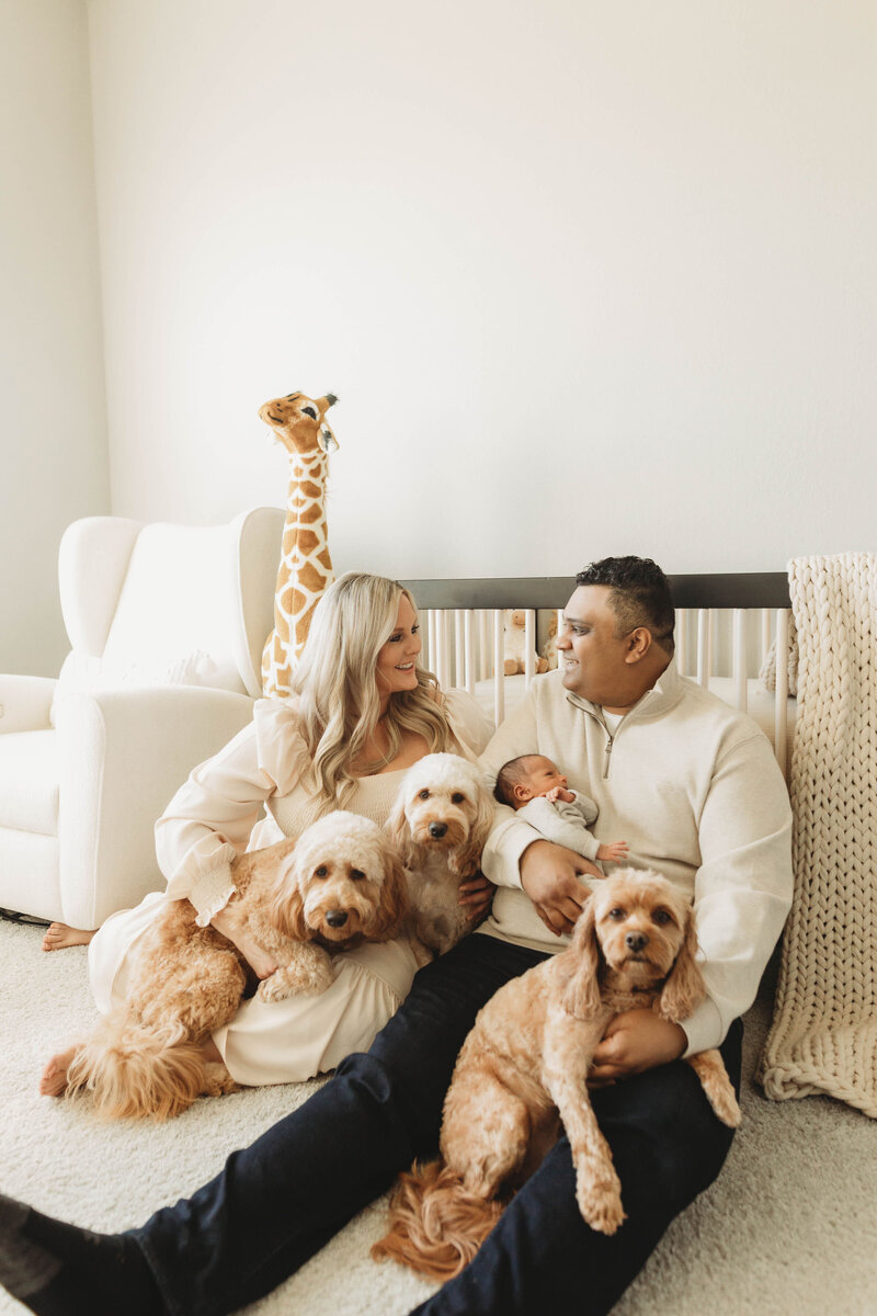 new mother and father holding their newborn baby in their white nursery joined by their three golden doodles