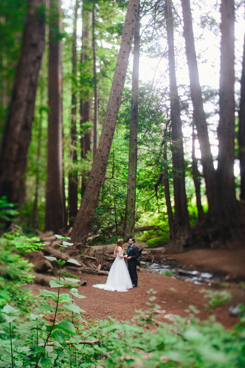 Big Sur elopement in redwood forest