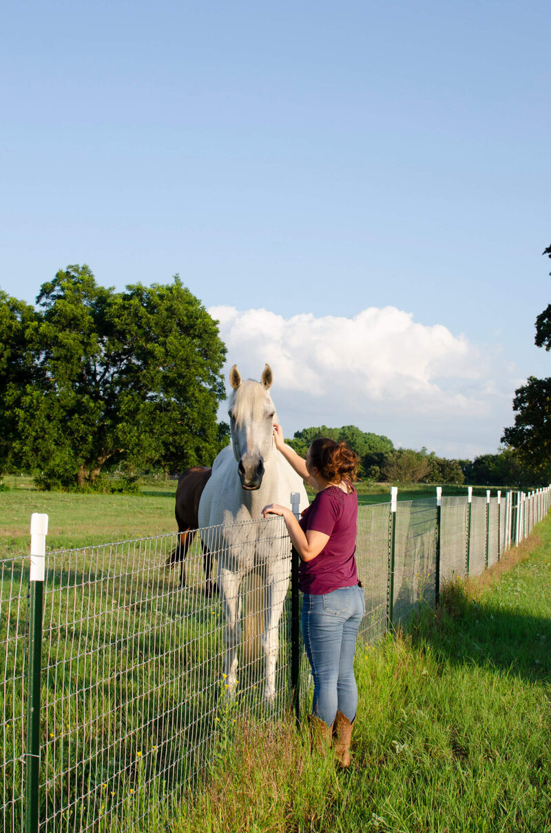 Full care horse boarding North Texas