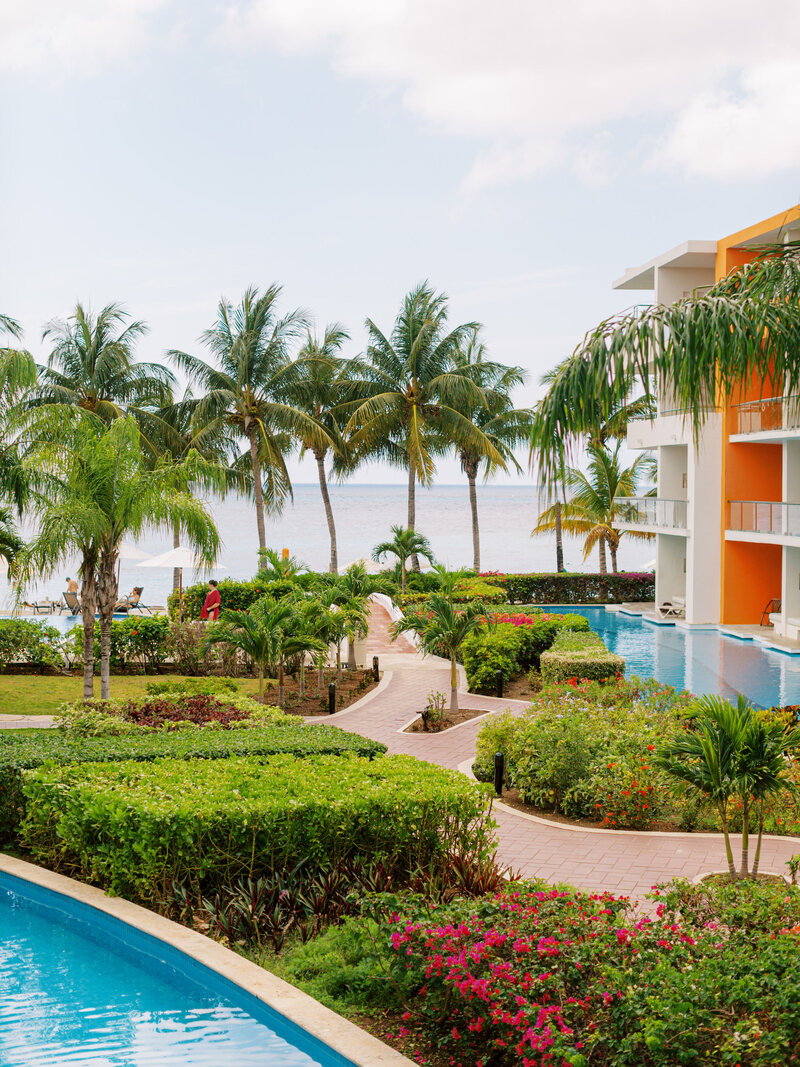 hotel pool surrounded by palm trees beachfront