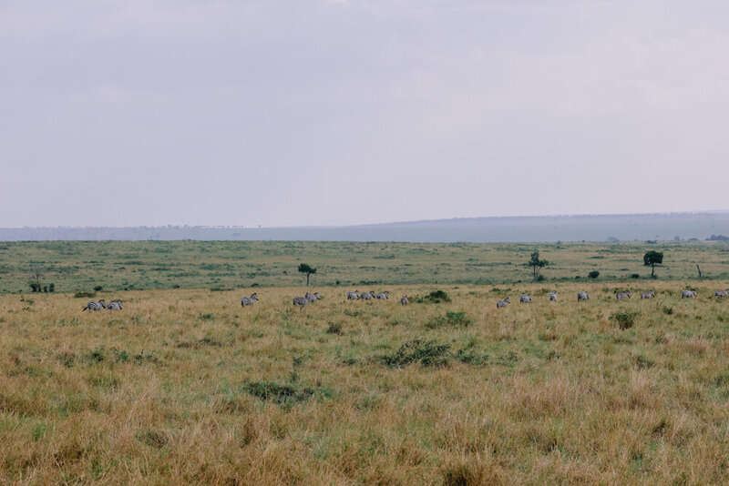 safariedited-392-Edit