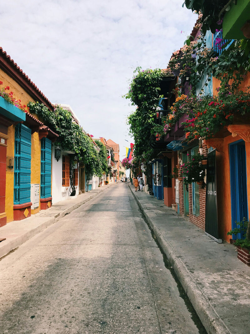 Narrow street lined with colorful buildings and flowers