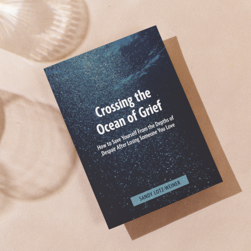 sandy book mockup