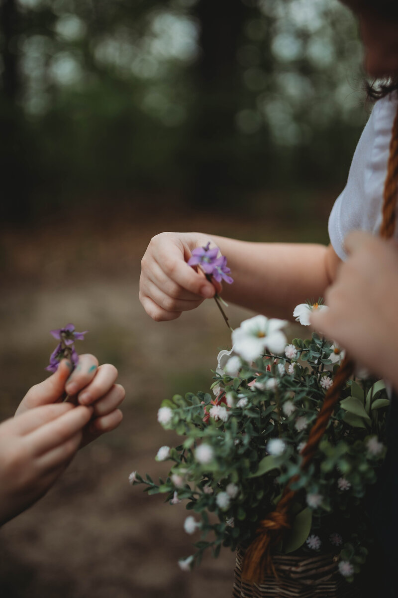 A close up photo of a child picking up purple flowers in Blacksburg, Virginia. 