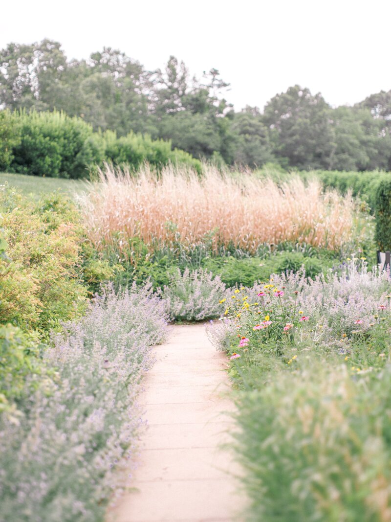 Pippin Hill Wedding Charlottesville Virginia Photographer_30
